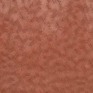 Talbot (F7871-01)